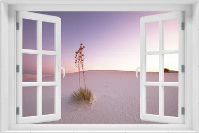 Produktbild von Wallario Wandbild mit Fenster-Illusion: Kleine Oase in der Wüste, Größe: 61 x 91,5 cm, Poster mit rahmenlosen Bildhalter