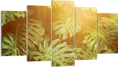 Produktbild von Bild auf Leinwand - Leinwandbild - 5 Teile - Blätter Monstera Licht - 160x85cm - Wand Bild - Wanddeko - Wandbilder - Leinwanddruck - Bilder - Wanddekoration - Leinwand bilder - EA160x85-4540