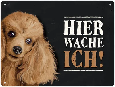 Produktbild von Hier wache ich! Metallschild XL mit Pudel Motiv Schild Blechschild