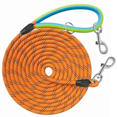 Image de Laisse de chien longue avec 2 mousquetons pivotants et fil réfléchissant