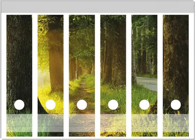 Produktbild von Wallario Ordnerrücken Sticker, selbstklebend für breite Ordner, 6 Stück, Motiv Allee bei Sonnenuntergang