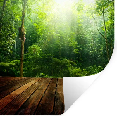 Produktbild von MuchoWow® - Selbstklebend - Fototapeten