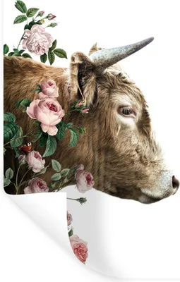 Produktbild von MuchoWow® - Sticker - Dekorfolie