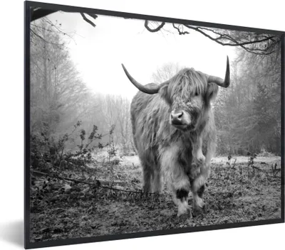 Produktbild von MuchoWow® Gerahmtes Poster Schottischer Highlander - Wald - Nebel - Kuh - Tiere - Natur 80x60 cm - Poster mit Schwarzem Bilderrahmen Wandposter Rahmen Foto Bilder - Schwarzem - Mit Gestell