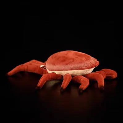 15 cm - Weiches Kissen für Kinder und Tierliebhaber - Cambrische Simulationsreihe - Wohndekoration