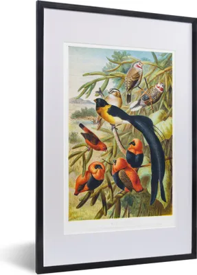 Produktbild von MuchoWow® MuchoWow® Gerahmtes Poster Antiker Vogeldruck Vögel in Harmonie 40x60 cm - Poster mit zchwarzem Bilderrahmen - Poster in Rahmen