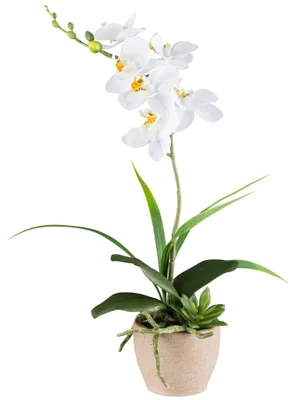 Produktbild von GASPER Orchideenarrangement Weiß im schwarzen Topf 45 cm - Kunstblumen