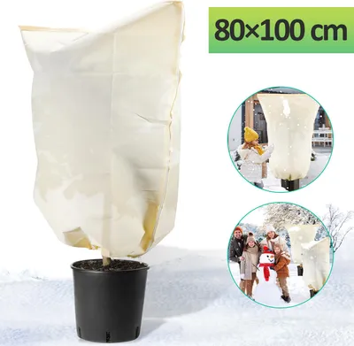 Image de Jayseuw 2x Protection hivernale 80x100cm pour plantes en bacs Palmiers Protection hivernale Plantes Non-tissé de jardin 100g/m