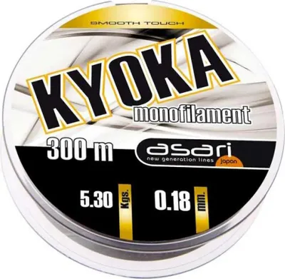 Produktbild von Asari Kyoka Monofile Schnüre 300 M Silber 0.260 mm Silber 0.260 mm
