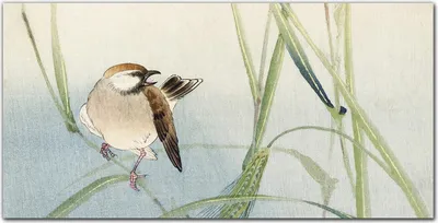 Produktbild von Coloray Bild aus Leinwand 120x60 Leinwand Dekoration - Tier Vogel Spatz