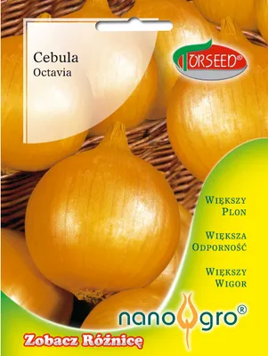 Produktbild von Octavia Zwiebelsamen NANO- Torseed