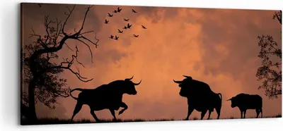 Produktbild von Bild auf Leinwand - Leinwandbild - Tier wütend Stier - 120x50cm - Wand Bild - Wanddeko - Wandbilder - Leinwanddruck - Bilder - Kunstdruck - Wanddekoration - Leinwand bilder - Wandkunst - AB120x50-0494