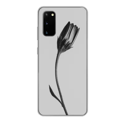 Produktbild von MuchoWow® Handyhülle Schutzhülle Hülle für Samsung Galaxy S20 Pflanze - Makro - Schwarz - Weiß Silikon Softcase Handy Hülle - Bild