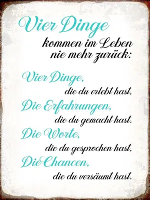 Produktbild von vianmo Holzschild 40x30 cm 4 Dinge kommen nie mehr zurück
