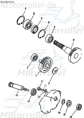 Produktbild von Adly Federscheibe RTW-34 ATV 50 II Utility XXL AC 50ccm 2Takt Motorroller.de Federring Spannscheibe Ausgleichsscheibe Feder-Ring Zwischenscheibe Quad