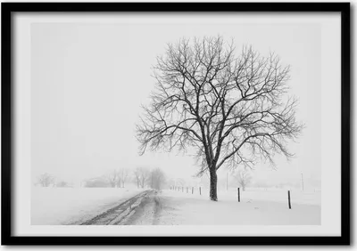Produktbild von Bild - Bilder - Bilderrahmen - 70 cm x 50 cm - MDF-Rahmen, Wandkunst Baum im Winter