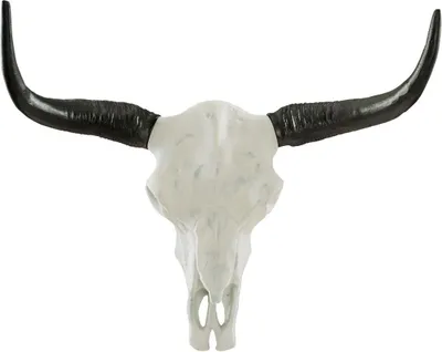 Produktbild von Wanddeko künstlicher Büffelschädel Weiß aus Aluminium 70 cm lang Deko Geweih Jagdtrophäe