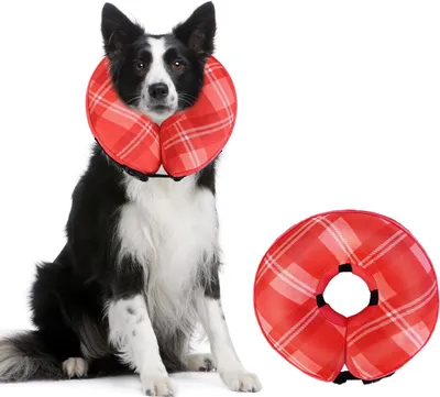 Produktbild von Verstellbares Aufblasbares Halsband für Hunde und Katzen - Weiches Halsband mit Leck- und Lickschutz