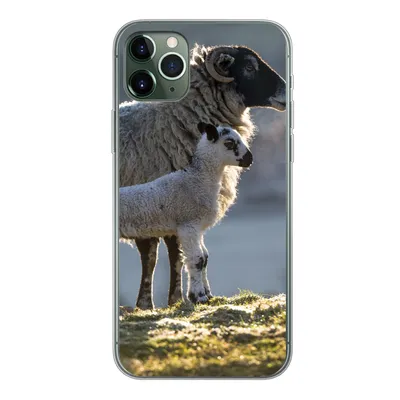 Produktbild von MuchoWow® Handyhülle Schutzhülle Hülle für iPhone 11 Pro Max Schaf - Lamm - Sonne Silikon Softcase Handy Hülle - Schutz