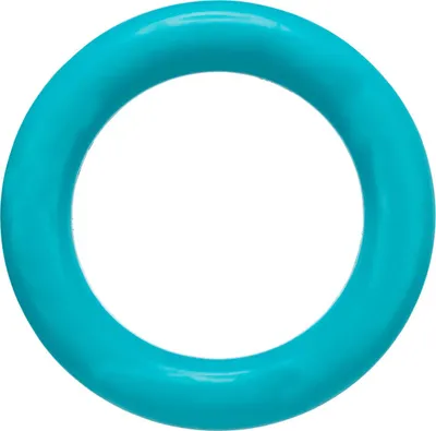 Immagine prodotto di Ring Hundespielzeug ø 15 cm petrol