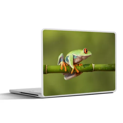 Produktbild von MuchoWow® Laptop Aufkleber Sticker Cover Rotäugiger Quecksilberfrosch auf Bambus 31x22.5 cm - Laptop-Deko