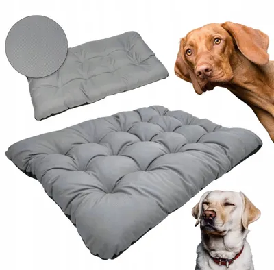 Image de Superkissen24 Lit pour chien XXL gris imperméable 120x80 cm