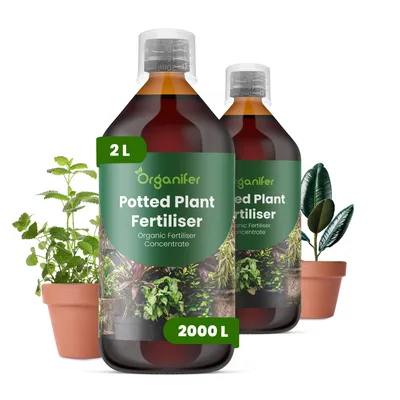 Zdjęcie produktu dla Doniczkowe Rośliny Nawóz Płynny 2x1 L – 3-4-3 NPK – Do Doniczkowe Rośliny – Podporuje Stabilne Korzenie i Równomierny Wzrost – Organifer