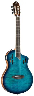 Zdjęcie produktu dla ORTEGA RTPDLX-FMA TourPlayer