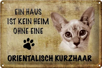 Produktbild von Blechschild Spruch 30x20cm orientalisch Kurzhaar ohne kein Heim