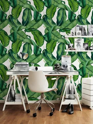 Produktbild von Coloray Fototapete 152x104 cm Latextapete Magicstick - Big Laub botanische Blätter