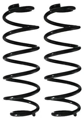 Productafbeelding van Set veren voor de achteras, schroefveer, Ø 112 mm, SPIDAN, geschikt voor onder andere VW GOLF