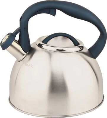 Immagine prodotto di MICHELINO 2,5 L Bollitore in acciaio inox Bollitore per tè Bollitore ARGENTO Manico: petrolio 11405