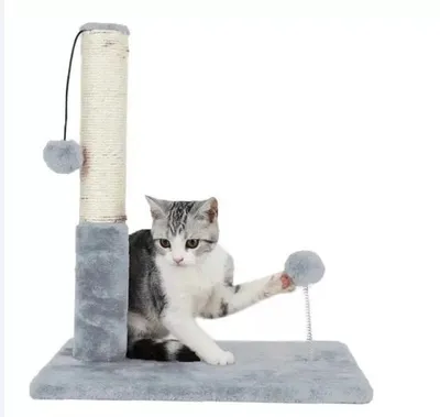 Produktbild von FUNFIT Kratzbaum für Katzen mit Höhle, Liegefläche, Sisalstamm und Spielzeug