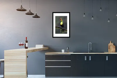 Produktbild von MuchoWow® MuchoWow® Gerahmtes Poster Tukan im Regen 40x60 cm - Poster mit zchwarzem Bilderrahmen - Poster in Rahmen