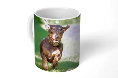 Produktbild von KitchenYeah® Tasse Kaffeetasse Kaffeebecher 350 ml Ein sprintender Dackel Teetasse - Fototasse - Becher - Keramikbecher - Teebecher - Kaffeetasse - Bürotasse
