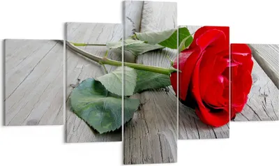 Produktbild von Bild auf Leinwand - Leinwandbild - Blume Holz Pflanze - 125x70cm - Wand Bild - Wanddeko - Leinwanddruck - Bilder - Kunstdruck - Wanddekoration - Leinwand bilder - Wandkunst - EA125x70-0103