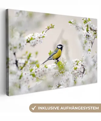 Produktbild von MuchoWow® - Leinwandbilder - Vogel - Kohlmeise - Blumen - Blütenbaum, Wandbild, Wanddeko Bilder Wohnzimmer, 120x80 cm