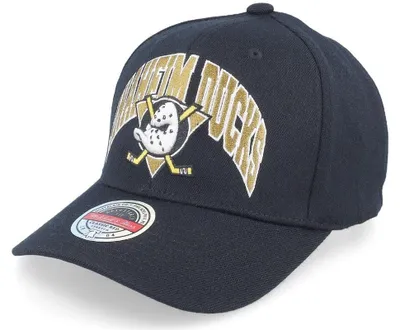 Produktbild von Snapback Cap mit gebogenem Schirm in Grau