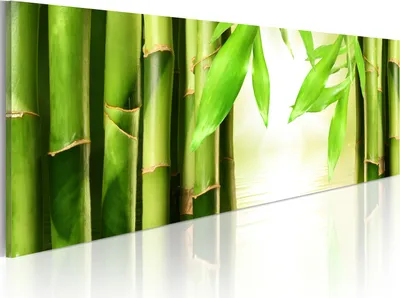 Produktbild von Wandbilder Natur 120x40 cm 1 tlg – Wanddeko Schlafzimmer, Bilder Wohnzimmer, Moderne Leinwandbilder, Leinwanddruck 9060111