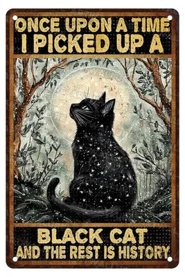 Obrázek produktu pro Vintage kovová deska na zdobení stěn (20x30 cm)