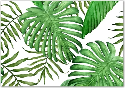Produktbild von Tulup® Leinwandbild - 100x70 cm - Wandkunst - Drucke auf Leinwand - Leinwanddruck  - Blumen & Pflanzen - Grün - Tropische Blätter