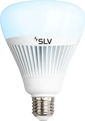 Image de Slv 1002519 PLAY E27 15W 2700K Ampoule LED, culot E27, 15 watts, couleurs changeantes, 2700 K, classe d'efficacité énergétique G, avec variateur, Amazon Alexa / Google Home