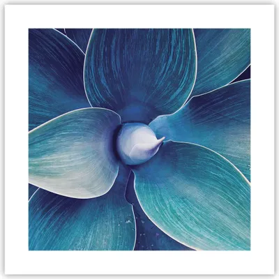 Produktbild von Poster - Poster ohne Rahmen - Agave Blau Blume - 40x40 cm - Wand Bild - Wanddeko - Wandbilder - Kunstposter - Wandposter - Bilder - Kunstdruck - Wanddekoration - Wandbild - P2XAC40x40-4972
