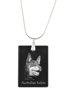 Image de Kelpie australien - Pendentif en cristal avec chien, collier en argent avec photo, pendentif personnalisé de la marque Art-Dog