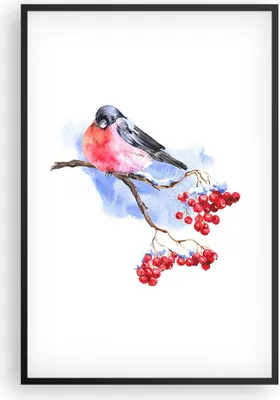 Produktbild von Gerahmtes Poster - Schwarzer Rahmen - Dompfaff auf Zweig - 61x91,5 cm - Wand Bild - Wanddeko - Wandbilder - Kunstposter - Wandposter - Bilderrahmen - Bilder - Kunstdruck - Wandbild - P2BPA61x91-4187