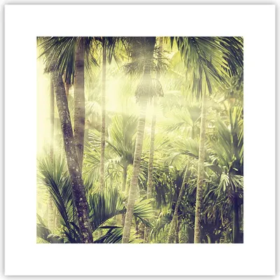Produktbild von Poster - Poster ohne Rahmen - Morgendämmerung Dschungel Palmen - 30x30 cm - Wand Bild - Wanddeko - Wandbilder - Kunstposter - Wandposter - Bilder - Kunstdruck - Wanddekoration - P2XAC30x30-4450