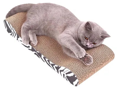 Produktbild von Karton-Kratzbäume für Katzen, ideal zum natürlichen Kratzen