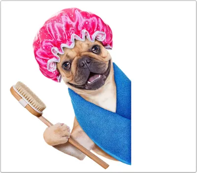 Produktbild von Spritzschutz Herdabdeckplatte Schneidebrett aus Glas Hund mit Haube 1-Teilig (60x52cm)