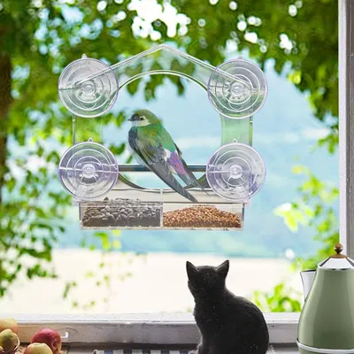 Image de Mangeoire de fenêtre pour oiseaux avec ventouses - Fenêtre en acrylique pour oiseaux sauvages