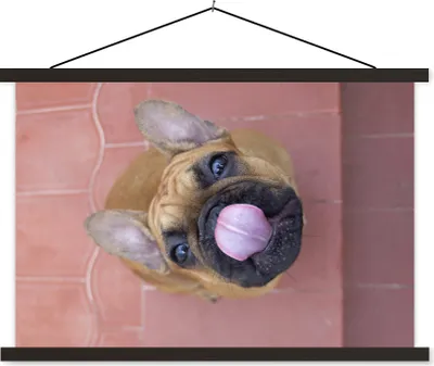Produktbild von MuchoWow® Textilposter Ein Welpe einer Französischen Bulldogge 150x100 cm mit schwarzem Rahmen - Schlafzimmer